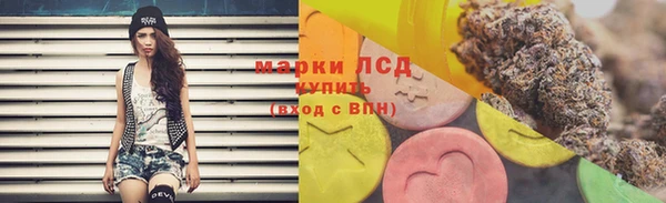 2c-b Пестово