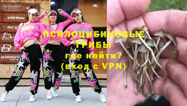 ALPHA PVP Переславль-Залесский