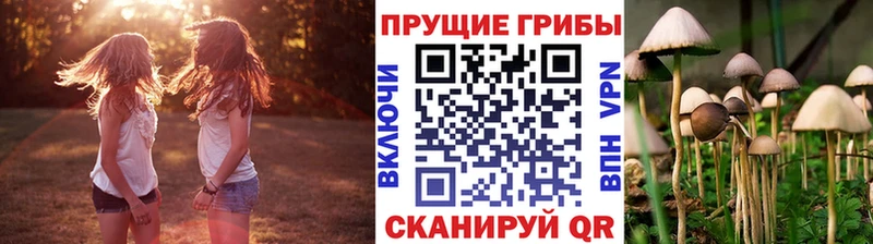 Псилоцибиновые грибы Psilocybe  как найти закладки  Порхов 